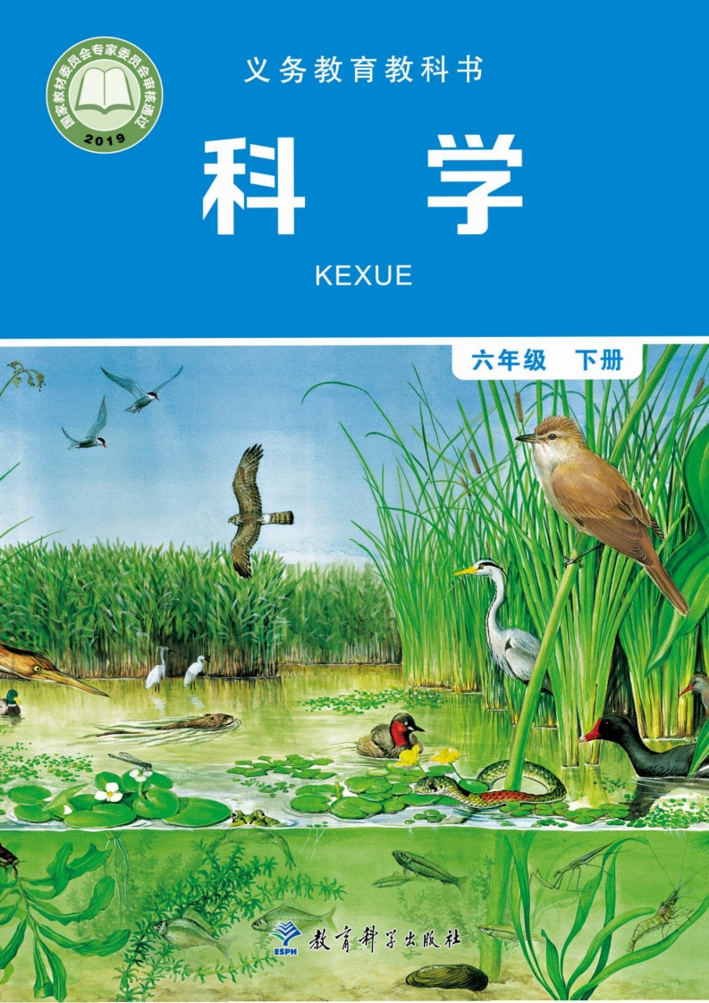 【教科版】六年级下册科学电子课本-五车芝士