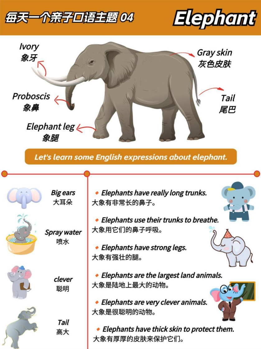 亲子口语思维导图合集（PDF＋视频）-五车芝士
