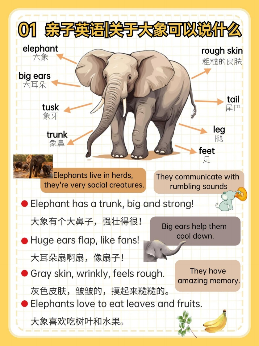 亲子英语启蒙日常见物能聊（PDF＋视频＋音频）-五车芝士