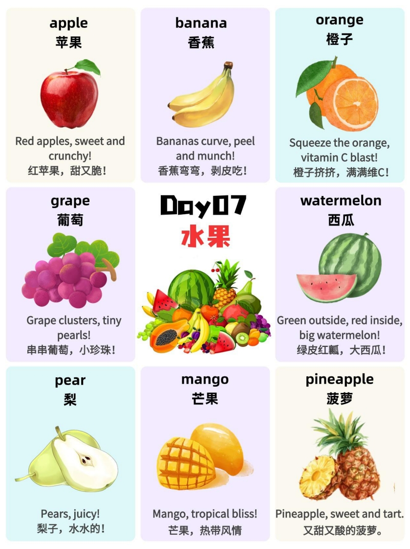 快乐启蒙英语大合集（PDF＋音频＋视频）-五车芝士