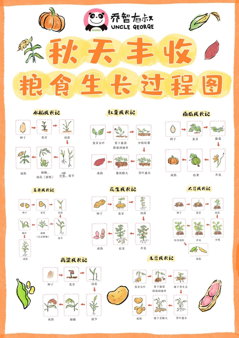 秋天丰收粮食的生长过程图-五车芝士
